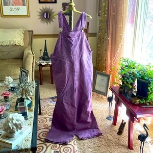 Great overalls in purple
